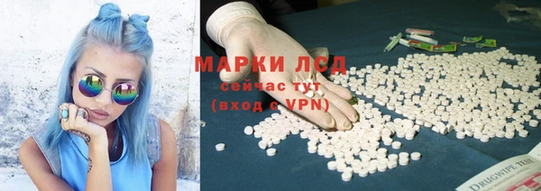 крисы Богородицк