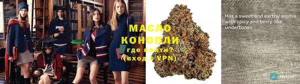 крисы Богородицк