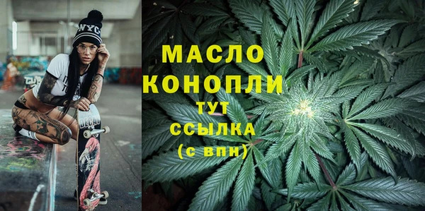 крисы Богородицк