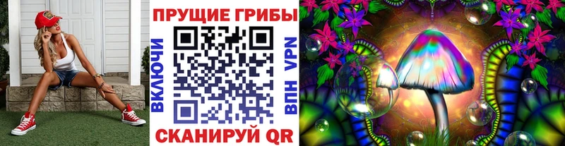Псилоцибиновые грибы Psilocybine cubensis  Купить  Котельники 
